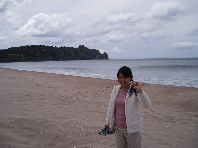 Coast of Coromandel Peninsula