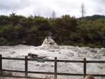 Day 4 - Lady Knox Geyser
